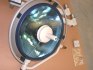 Lampa Operacyjna Berchtold Chromophare E650 + E550 - foto 4