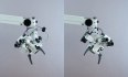 Mikroskop Stomatologiczny Zeiss OPMI 11 S21 z torem wizyjnym - foto 6