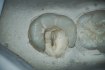 Хирургический микроскоп для стоматологии Zeiss OPMI 11 S21 - foto 13