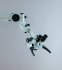 OP-Mikroskop Zeiss OPMI 111 für Zahnheilkunde  - foto 4